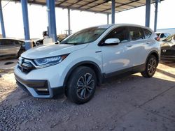 Salvage cars for sale at Phoenix, AZ auction: 2021 Honda CR-V EXL