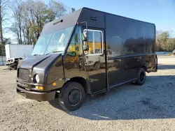 Salvage trucks for sale at Greenwell Springs, LA auction: 2009 Freightliner Chassis M Line WALK-IN Van