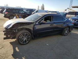 Salvage cars for sale at Hayward, CA auction: 2023 Lexus ES 350 Base