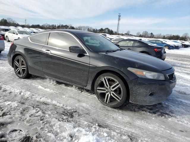 2009 Honda Accord EXL