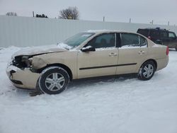 Chevrolet salvage cars for sale: 2004 Chevrolet Malibu