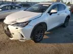 2022 Lexus NX 350