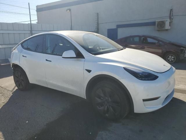 2025 Tesla Model Y