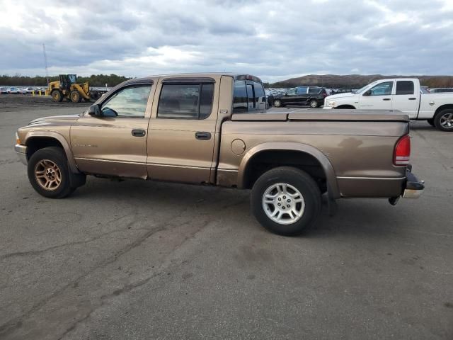 2001 Dodge Dakota Quattro