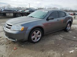 Salvage cars for sale at Louisville, KY auction: 2013 Dodge Avenger SE