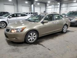 Salvage cars for sale at Ham Lake, MN auction: 2008 Honda Accord EXL