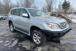 Lexus gx salvage cars for sale: 2010 Lexus GX 460 Premium