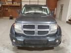 2010 Dodge Nitro SE