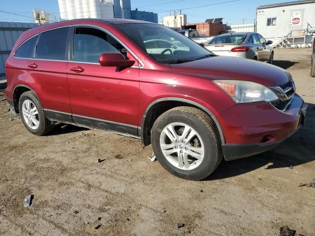 2010 Honda CR-V EXL