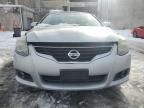 2010 Nissan Altima SR