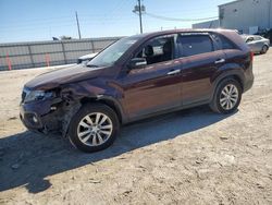 2011 KIA Sorento EX en venta en Jacksonville, FL