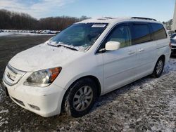 Honda Odyssey exl salvage cars for sale: 2009 Honda Odyssey EXL