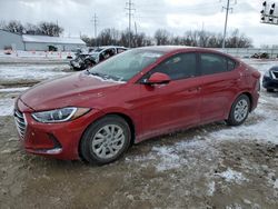 Salvage cars for sale at Columbus, OH auction: 2017 Hyundai Elantra SE