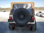 1999 Jeep Wrangler / TJ Sahara