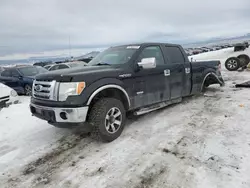 Salvage trucks for sale at Helena, MT auction: 2012 Ford F150 Supercrew