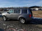 2011 Honda Pilot EXL