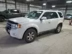 2009 Ford Escape Limited