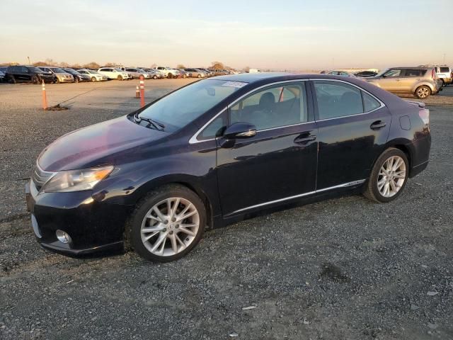 2010 Lexus HS 250H