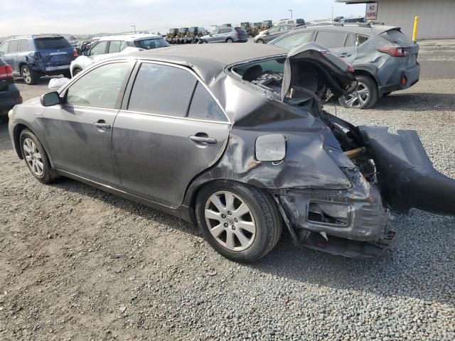 2007 Toyota Camry Hybrid