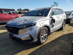 Salvage cars for sale at American Canyon, CA auction: 2023 Honda CR-V EX