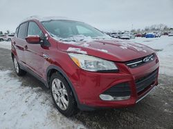 Ford salvage cars for sale: 2016 Ford Escape SE