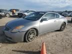 2008 Nissan Altima 3.5SE