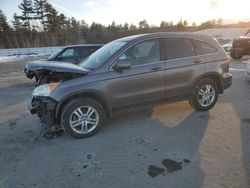 Salvage cars for sale at Windham, ME auction: 2010 Honda CR-V EXL