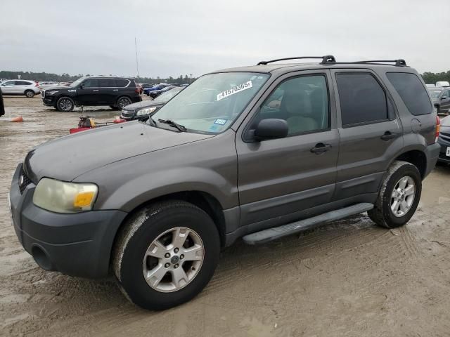 2005 Ford Escape XLT