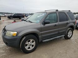 2005 Ford Escape XLT en venta en Houston, TX