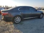 2008 Lexus LS 460