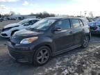 2011 Scion XD