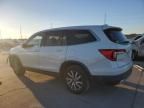 2019 Honda Pilot EX