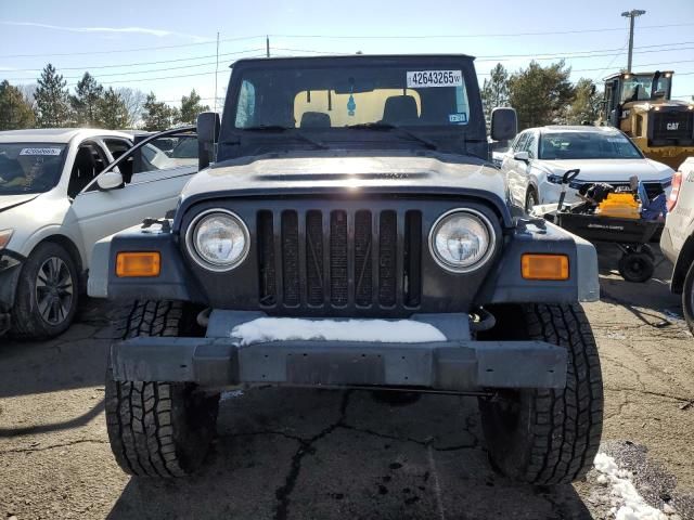 2006 Jeep Wrangler / TJ SE