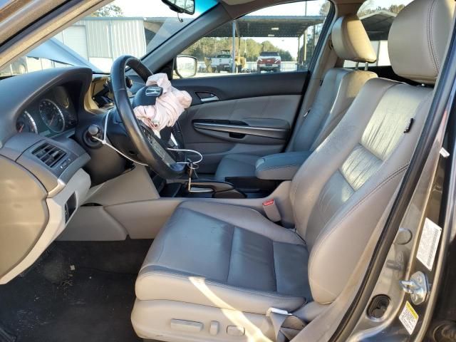 2010 Honda Accord EXL