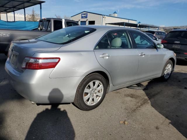 2009 Toyota Camry Hybrid