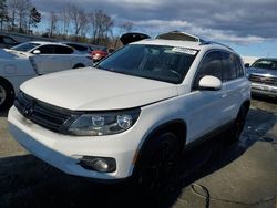 Salvage cars for sale at Spartanburg, SC auction: 2013 Volkswagen Tiguan S