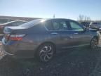 2017 Honda Accord EXL