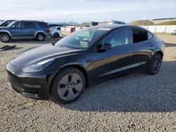 Salvage cars for sale at Anderson, CA auction: 2023 Tesla Model 3