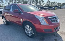 Cadillac srx salvage cars for sale: 2010 Cadillac SRX Luxury Collection