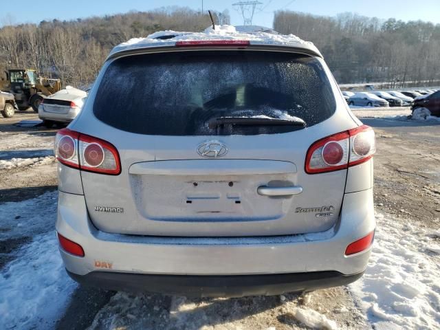 2010 Hyundai Santa FE SE