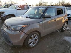 Salvage cars for sale at Baltimore, MD auction: 2015 KIA Soul +