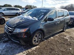 Honda salvage cars for sale: 2014 Honda Odyssey EXL