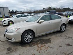 Salvage cars for sale at Florence, MS auction: 2010 Lexus ES 350