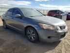 2008 Honda Accord LXP