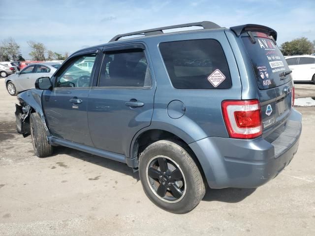 2011 Ford Escape XLT