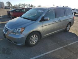 Honda salvage cars for sale: 2010 Honda Odyssey EXL