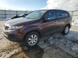 Salvage cars for sale at Walton, KY auction: 2013 KIA Sorento LX