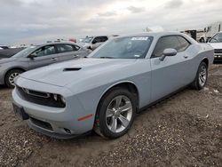 Dodge salvage cars for sale: 2020 Dodge Challenger SXT