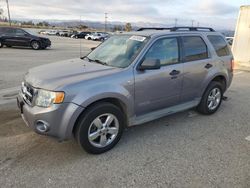 Ford salvage cars for sale: 2008 Ford Escape XLT