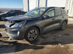 Salvage cars for sale at Albuquerque, NM auction: 2020 Ford Escape SEL